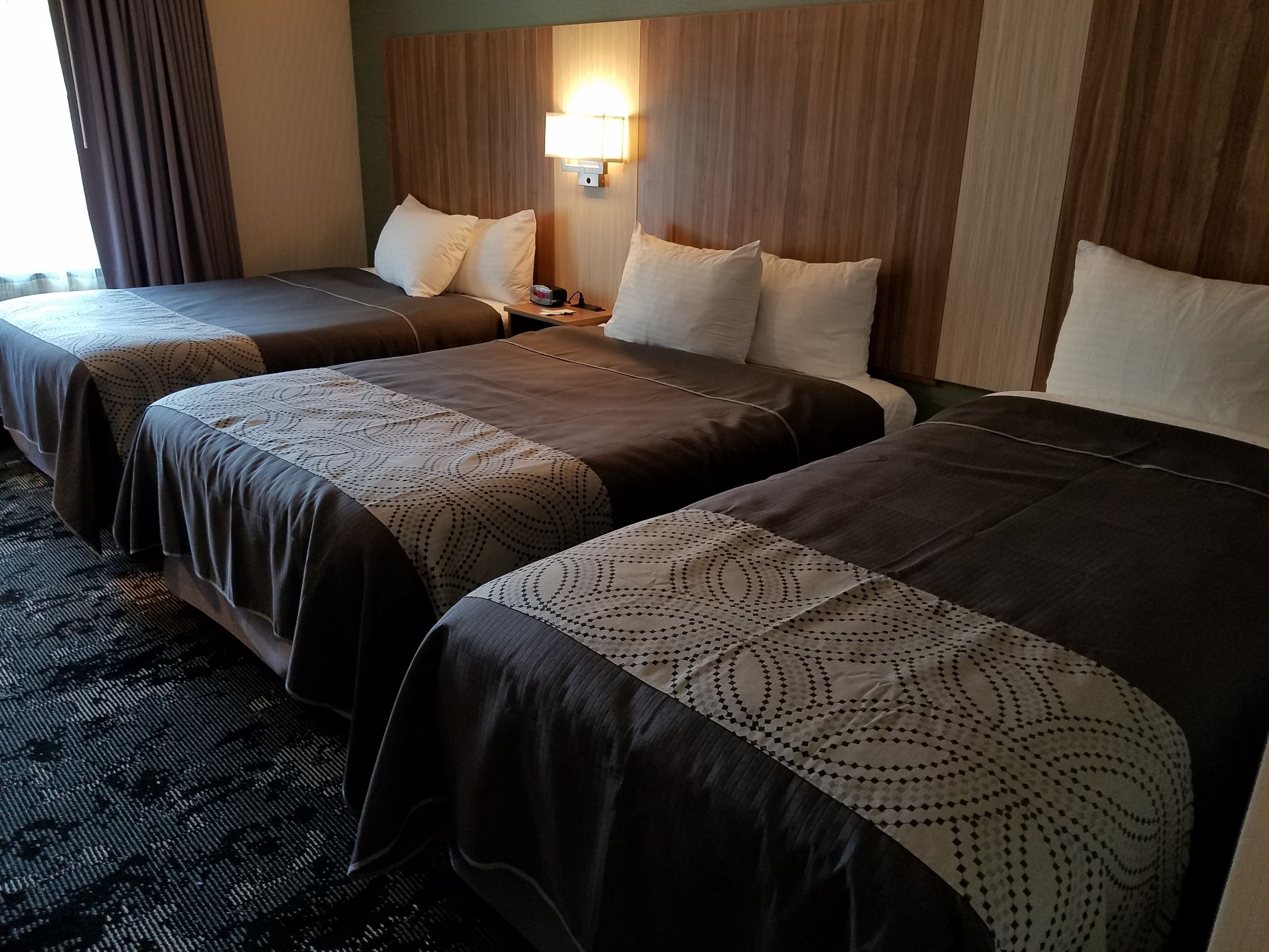 A hotel room with two beds, a nightstand, a lamp, and a view of the outdoors.
