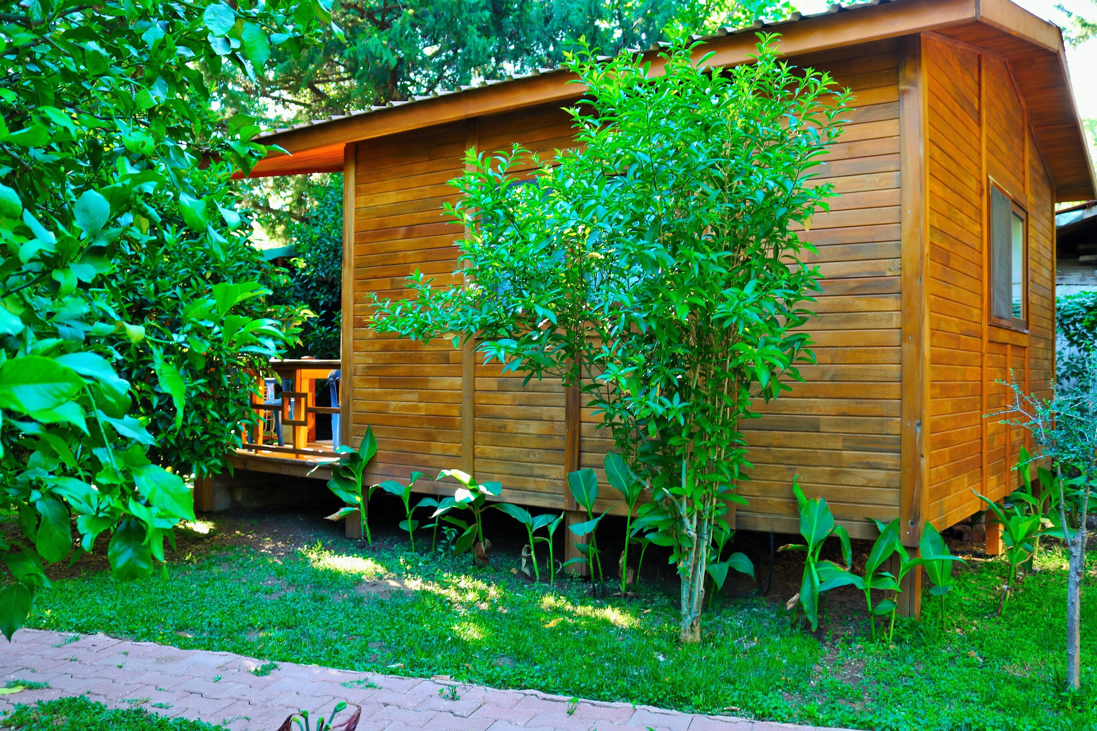 A wooden cabin with a deck, surrounded by lush greenery.