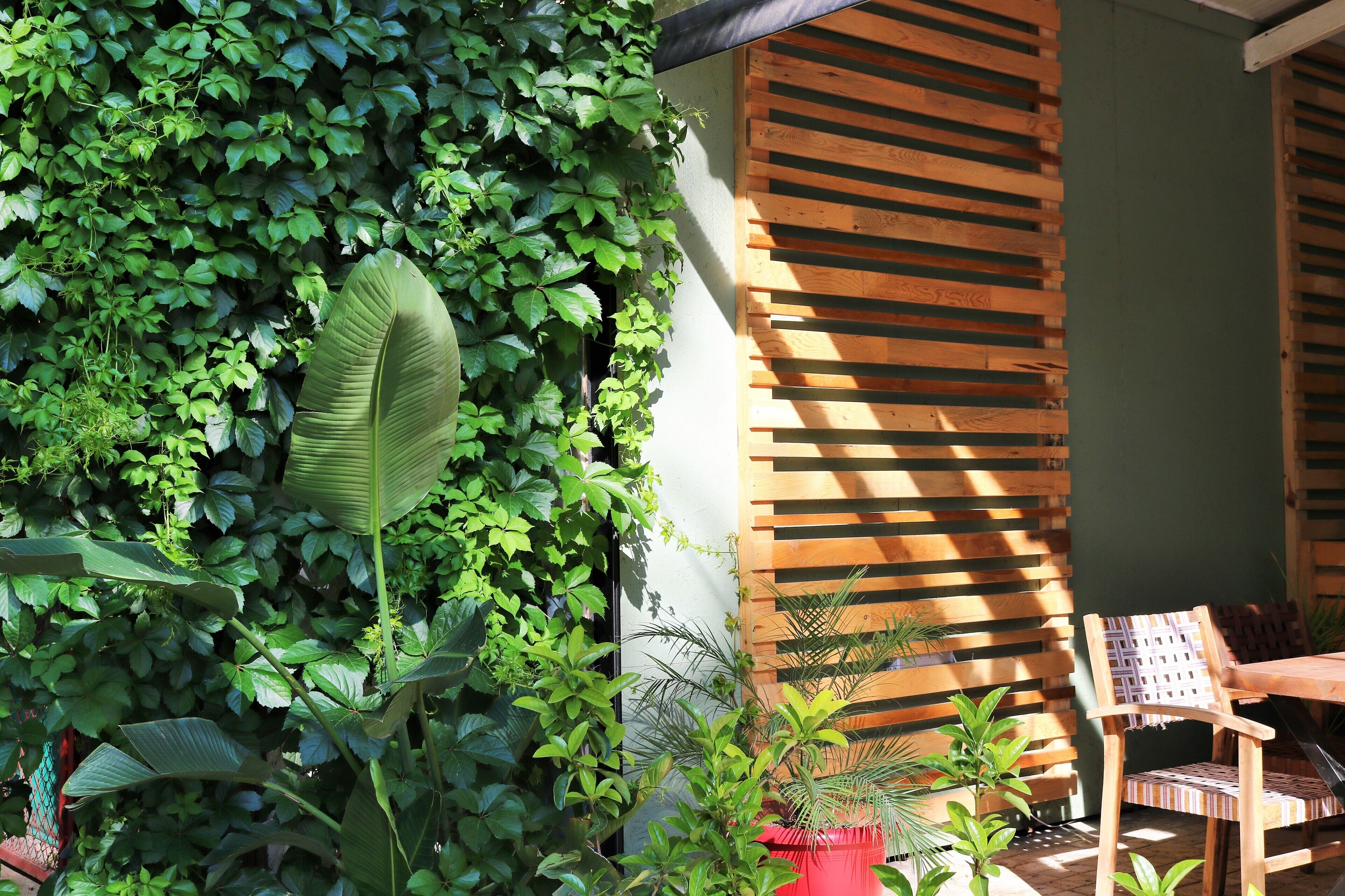 Mesa y sillas de madera en un espacio exterior sombreado, con abundante follaje verde y una pared de listones de madera.