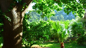 Vue depuis l’hébergement