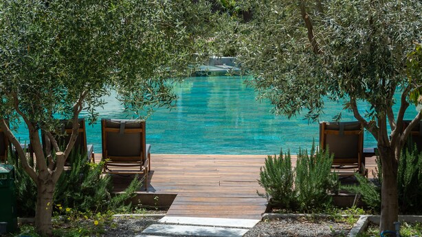 A wooden deck leading to a pool with two wooden chairs, surrounded by trees and plants. - Bitzaro Palace Hotel - All inclusive (Zakynthos)