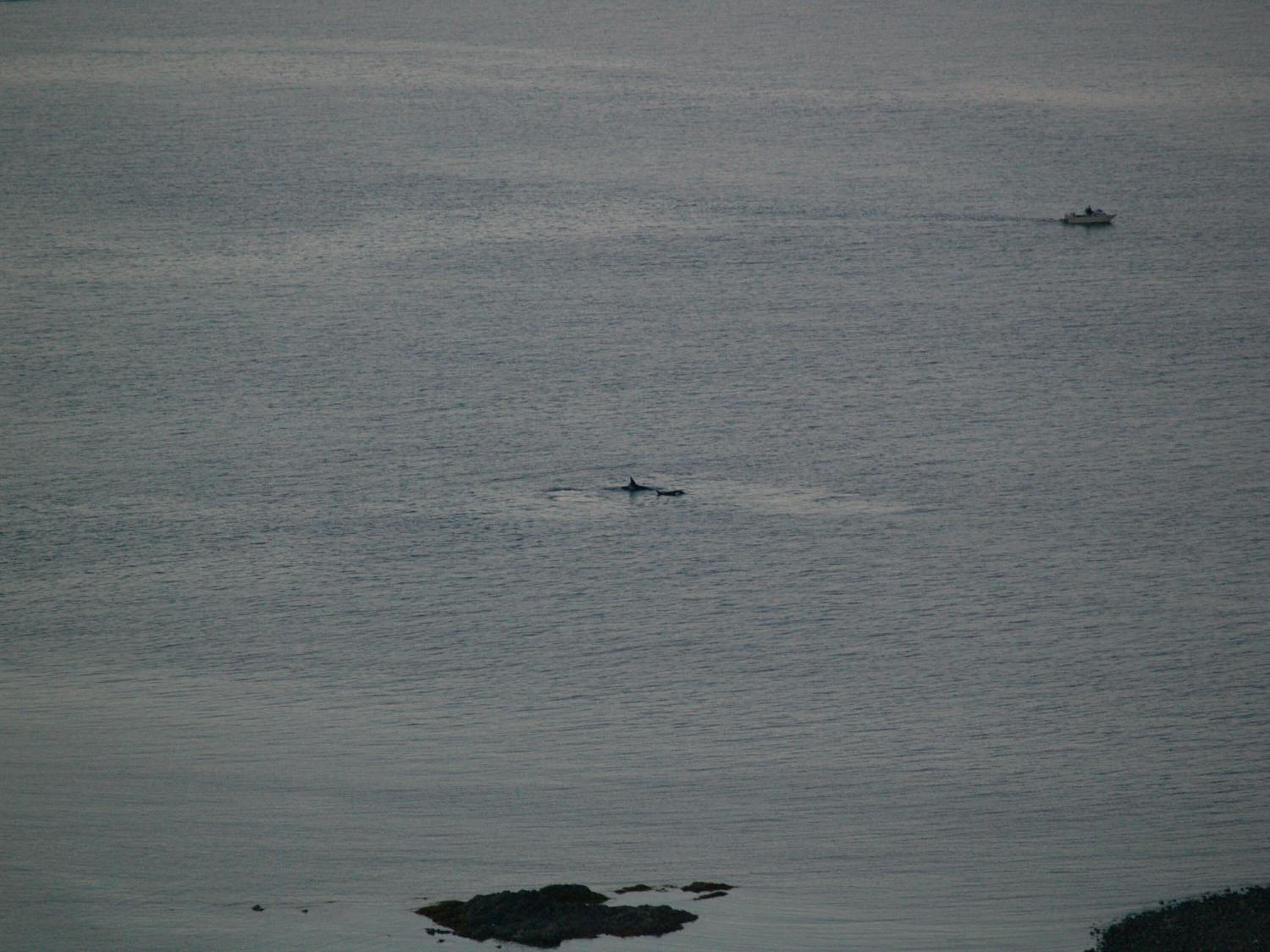 Une étendue d'eau calme, avec une petite barque et une île lointaine.