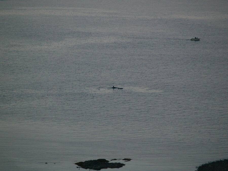 A calm body of water with a small boat and a distant island.