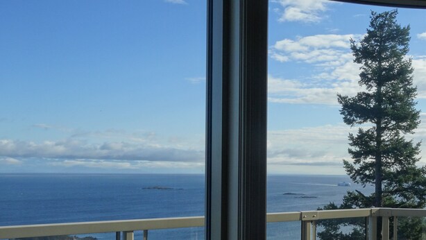 A view from a balcony overlooking the ocean with a clear sky and a tall evergreen tree. - Gibralter Rock Ocean View B&B (Nanaimo)