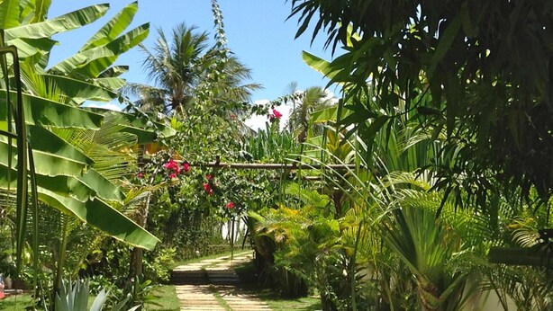 A garden pathway surrounded by lush tropical plants and a palm tree. - La Réserve Design Villas (Tibau do Sul)