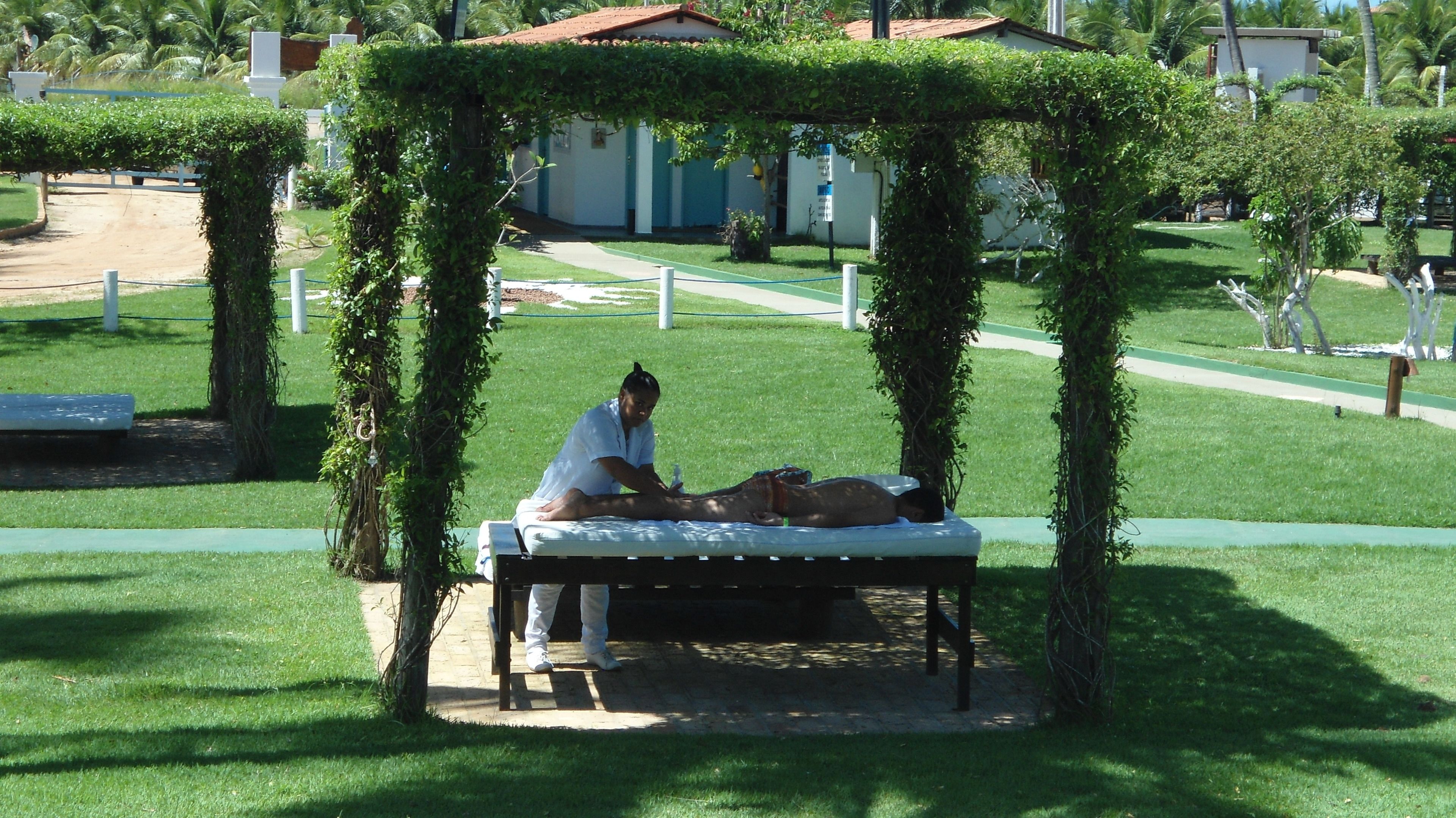 Una persona cuidando a un perro debajo de una pérgola con plantas trepadoras.