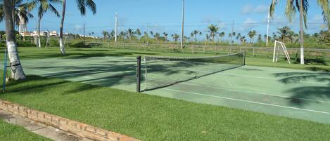 A tennis court with a net, surrounded by grass and palm trees.