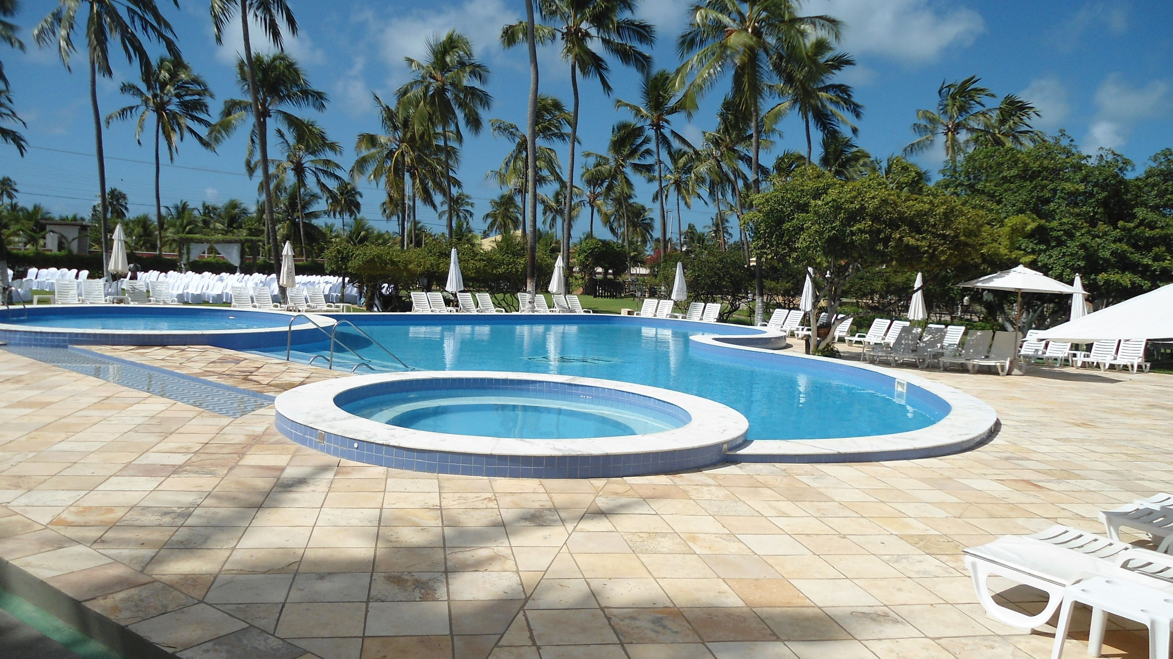 A swimming pool with multiple lanes, surrounded by lounge chairs and umbrellas, with palm trees in the background.