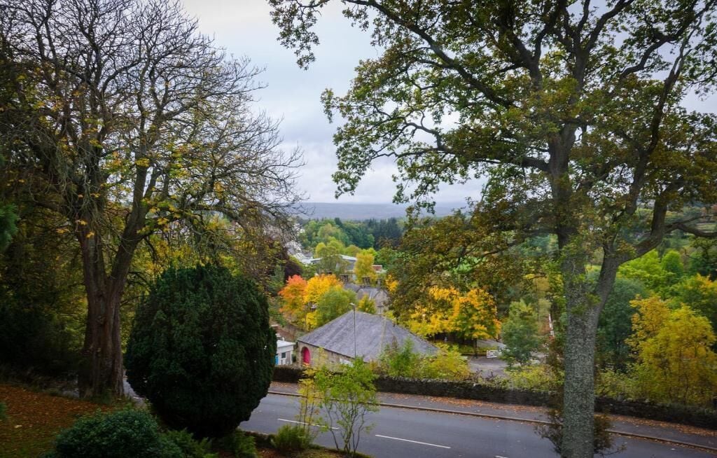 A residential area with a road, trees, and a small building with a red door.