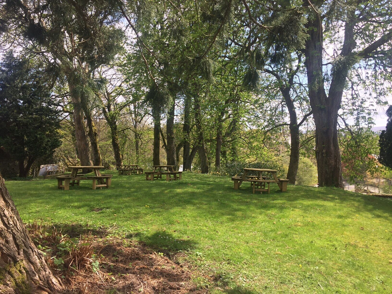 Un parque con mesas de picnic y árboles.