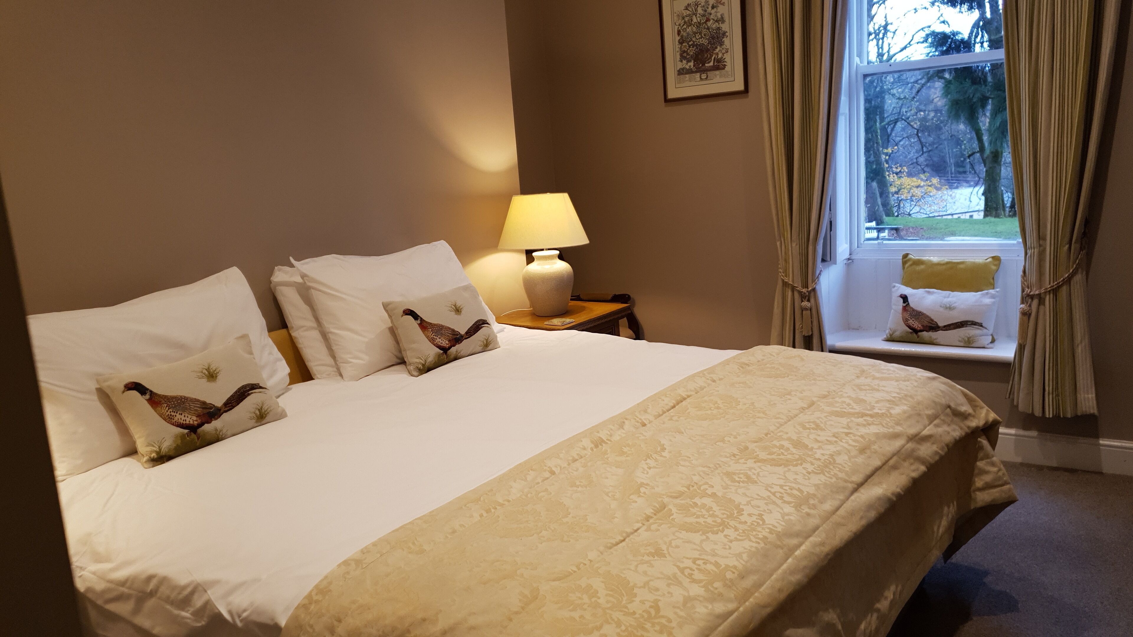 Habitación de hotel con una cama grande, una mesita de noche con lámpara y una ventana con cortinas.