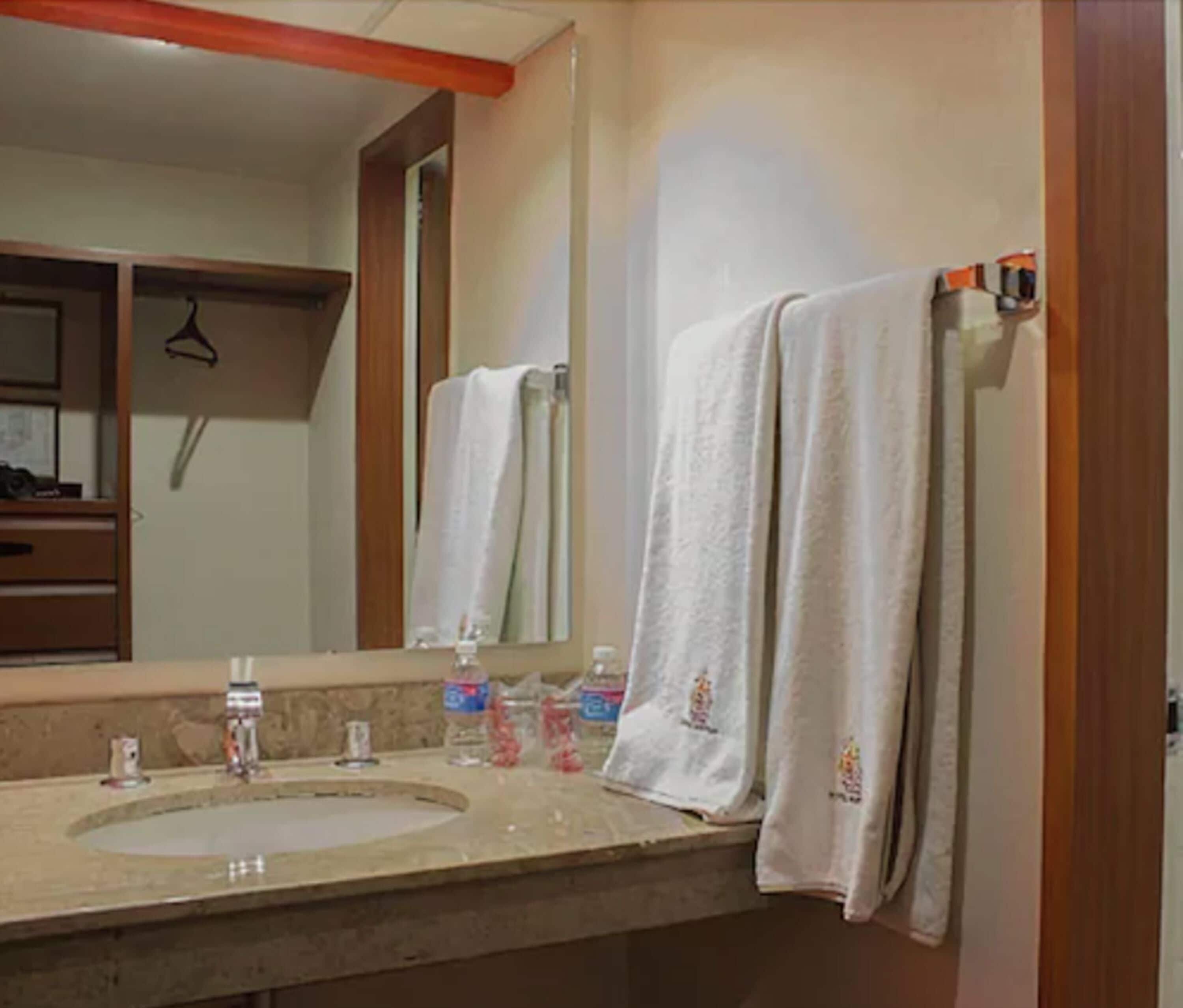 standard room, 1 king bed | bathroom sink