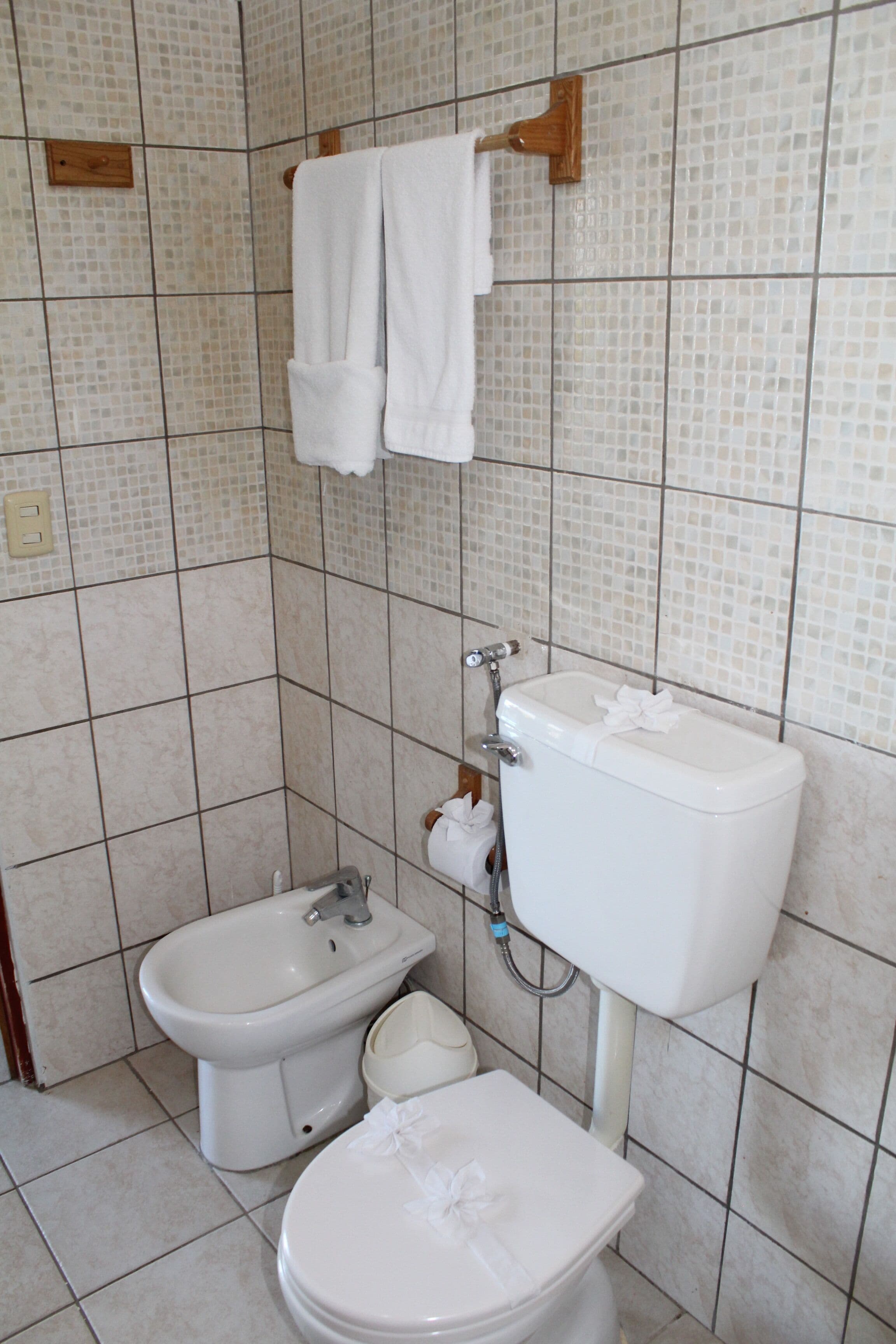 Une salle de bain équipée de toilettes, d’un bidet et d’un porte-serviettes.
