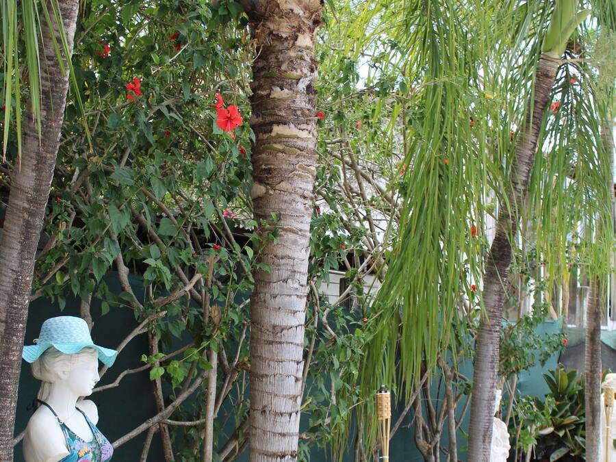 A statue of a woman in a bikini and hat, surrounded by palm trees and a green wall.