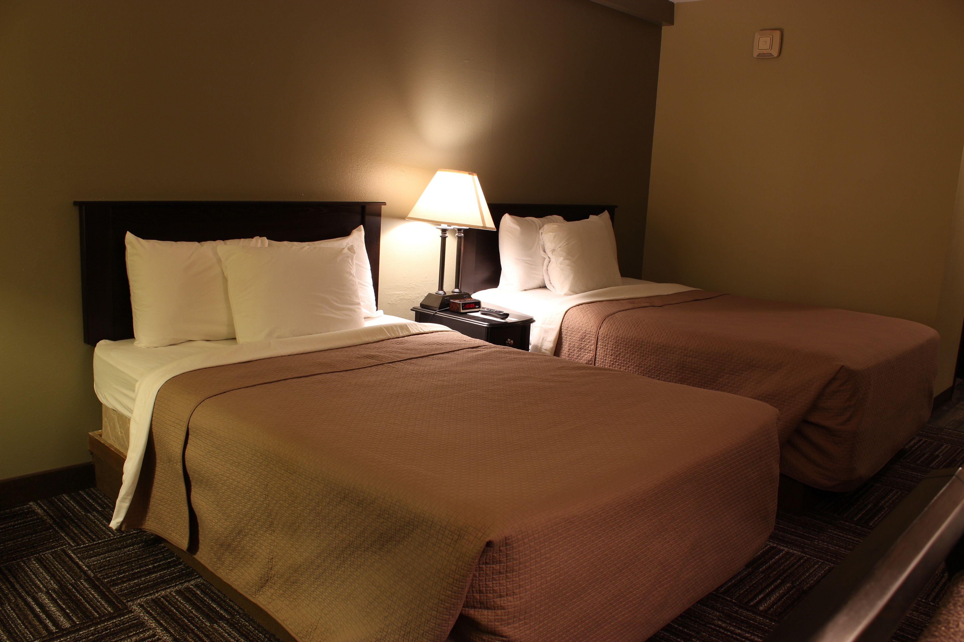 A hotel room with two beds, a nightstand with a lamp, and a carpeted floor.