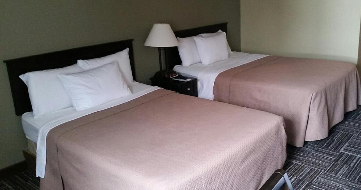 Two single beds with white and pink bedding, a nightstand with a lamp, and a carpeted floor.