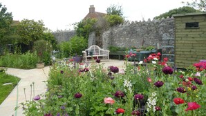 A garden with a stone wall, a wooden shed, and a bench. - The School House (Bridgwater)