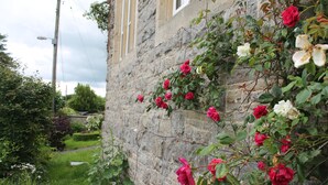 A stone building with a garden featuring red and white roses climbing the wall. - The School House (Bridgwater)