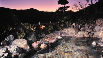 Naturpool