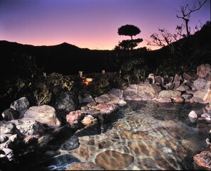Natural pool