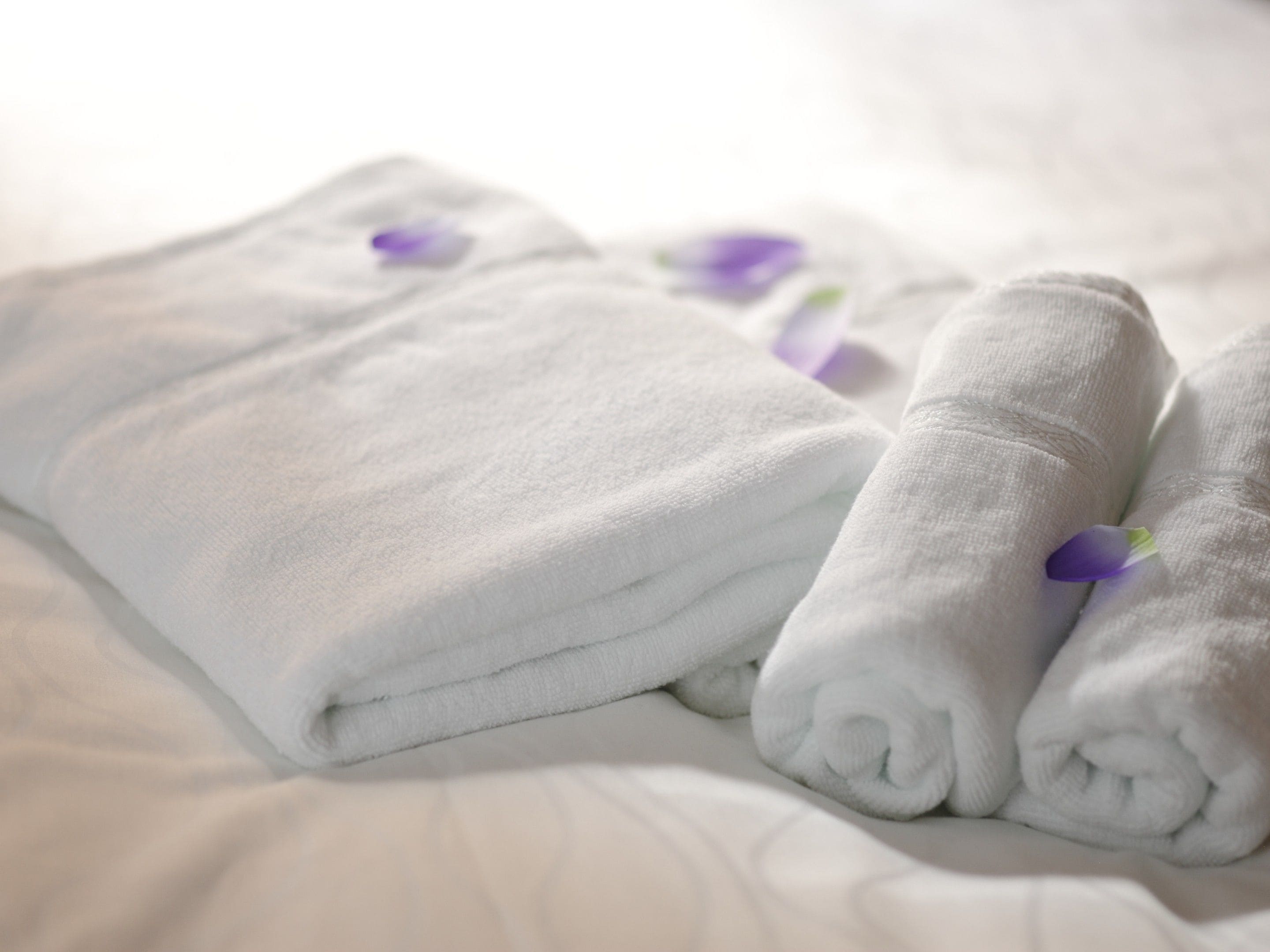 Photo - HOTEL AMANEK Ginza East