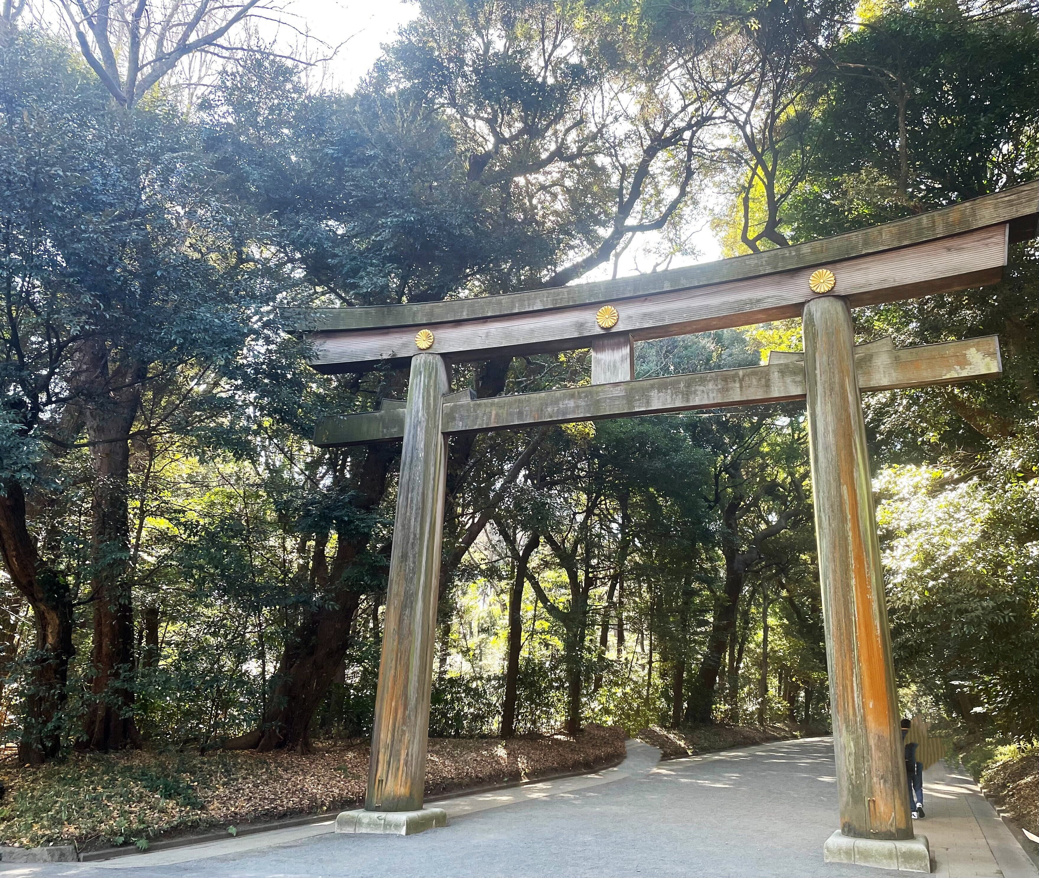 city view from property