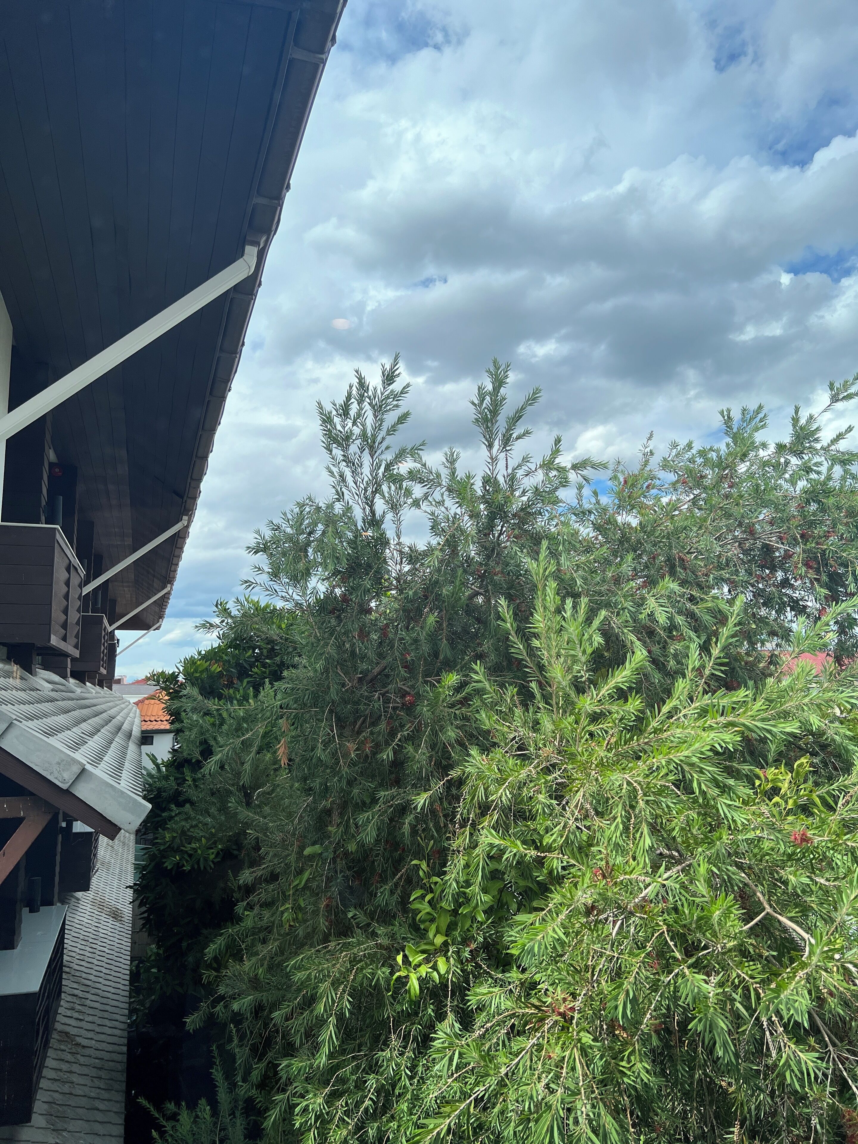 family room, 1 bedroom | garden view