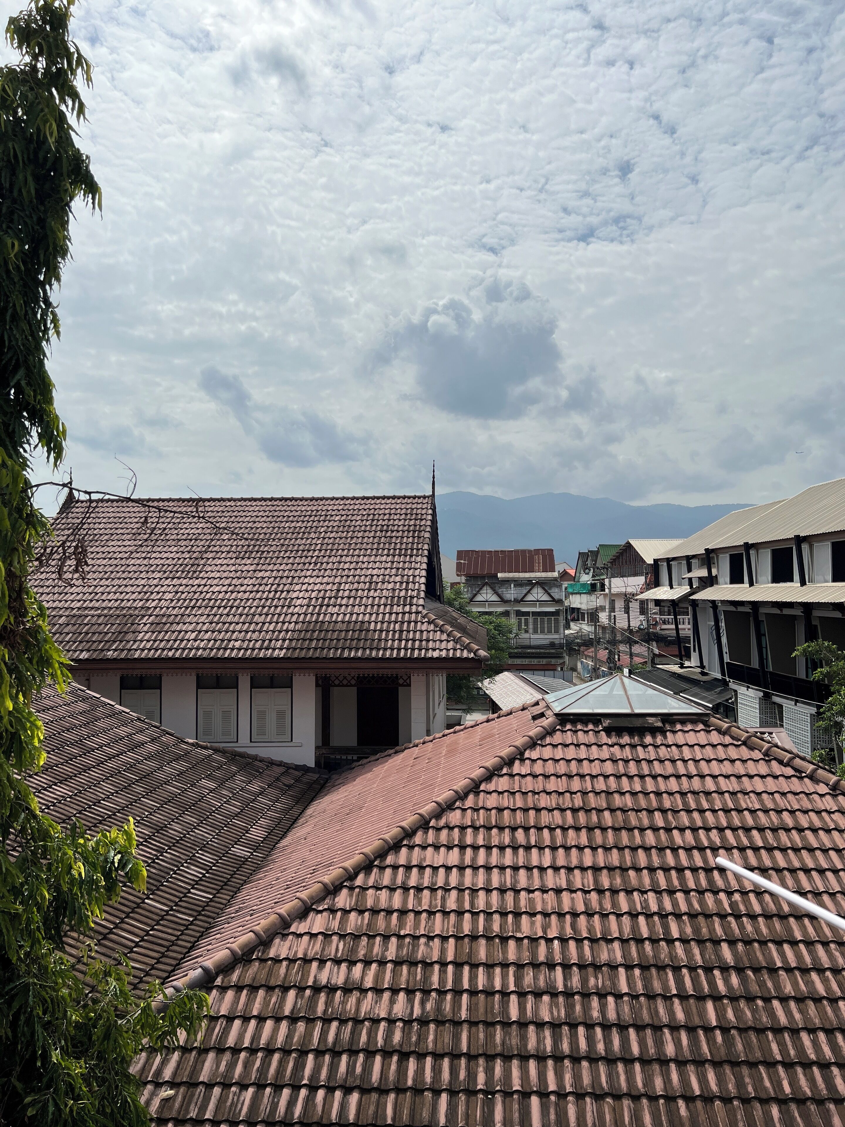 Photo - Pha Thai House