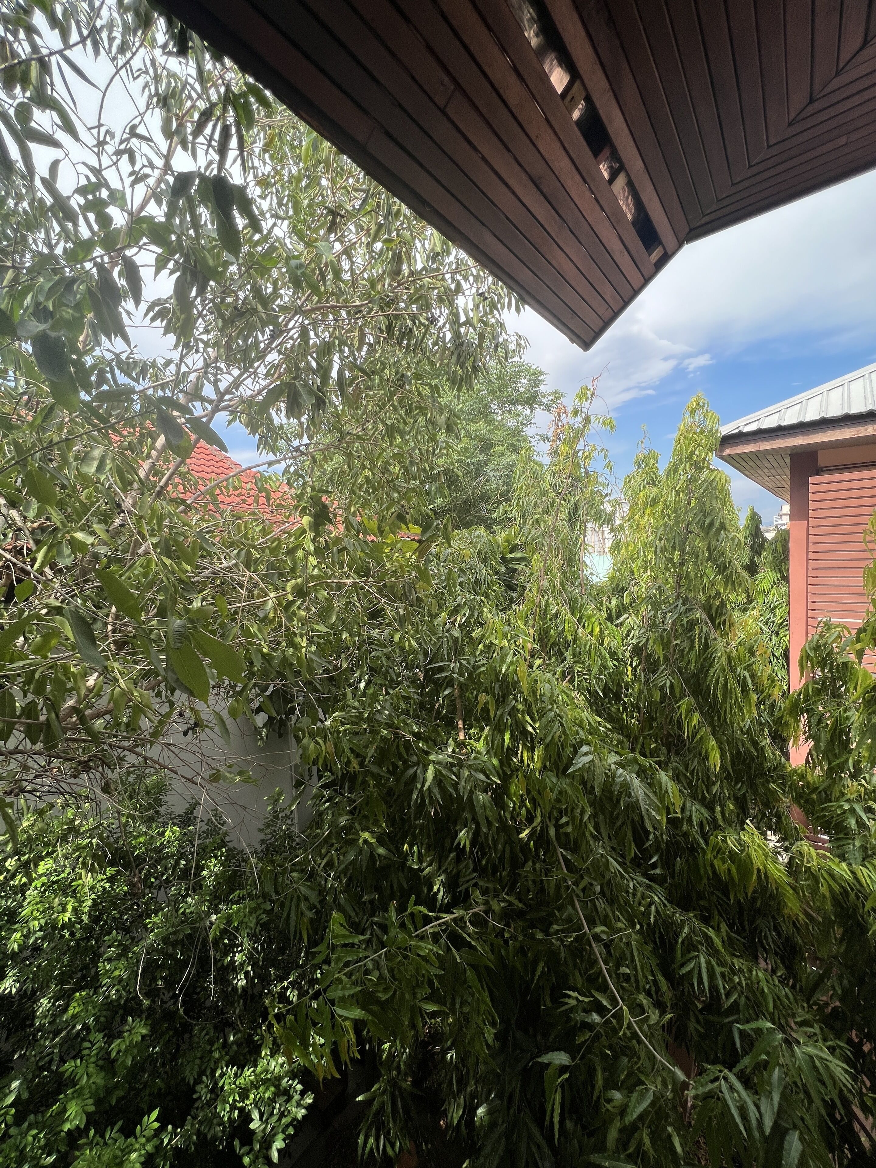 Foto - Pha Thai House