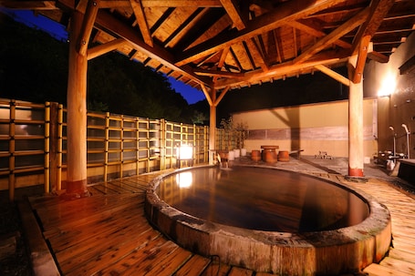Hot springs. Suzukiya Ryokan