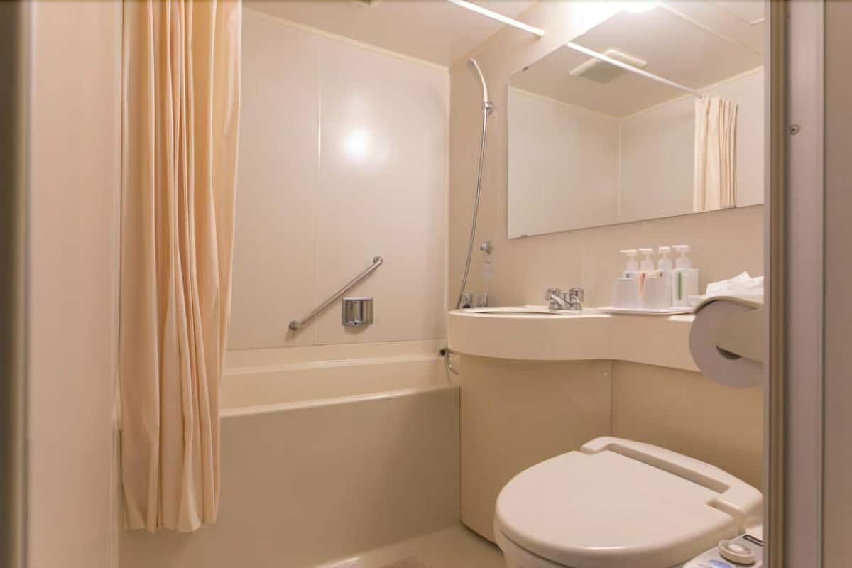 combined shower/bathtub, free toiletries, hair dryer, slippers