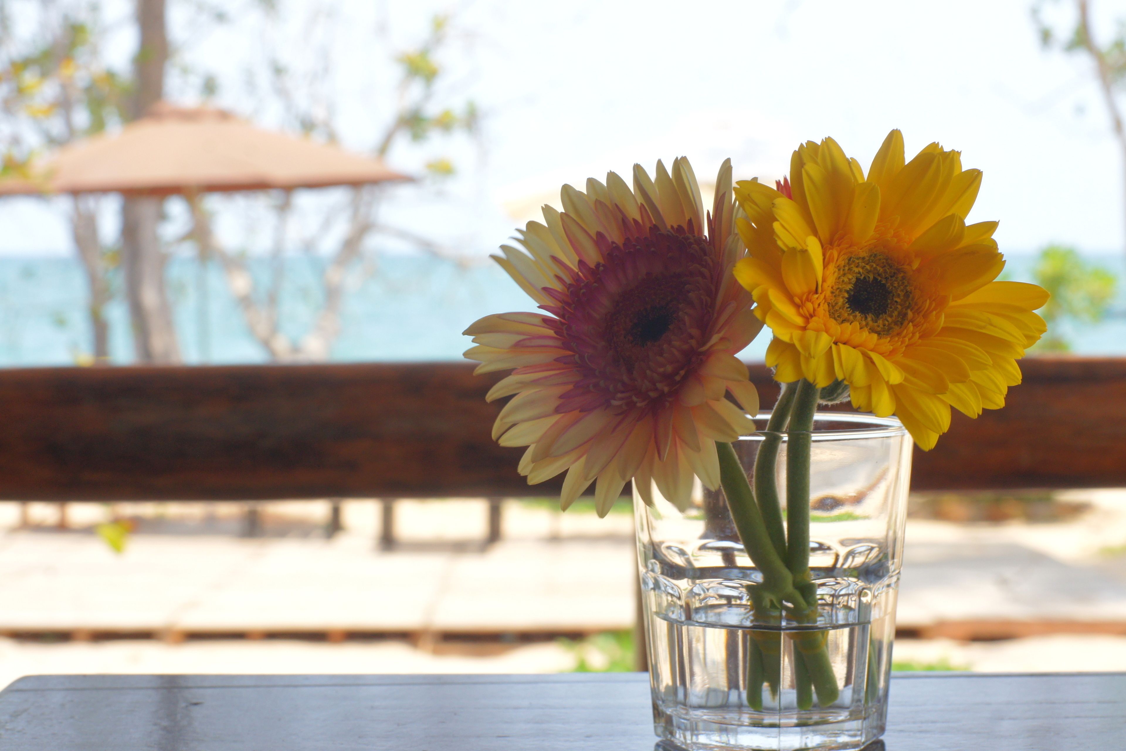 breakfast, lunch, dinner served; vietnamese cuisine