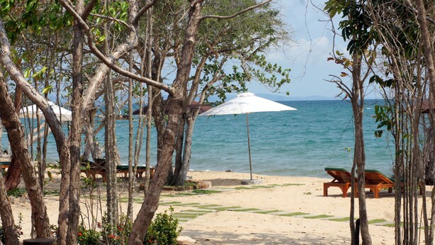 Une plage avec des chaises longues en bois et un parasol blanc, entourée d’arbres.