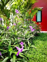  สวน