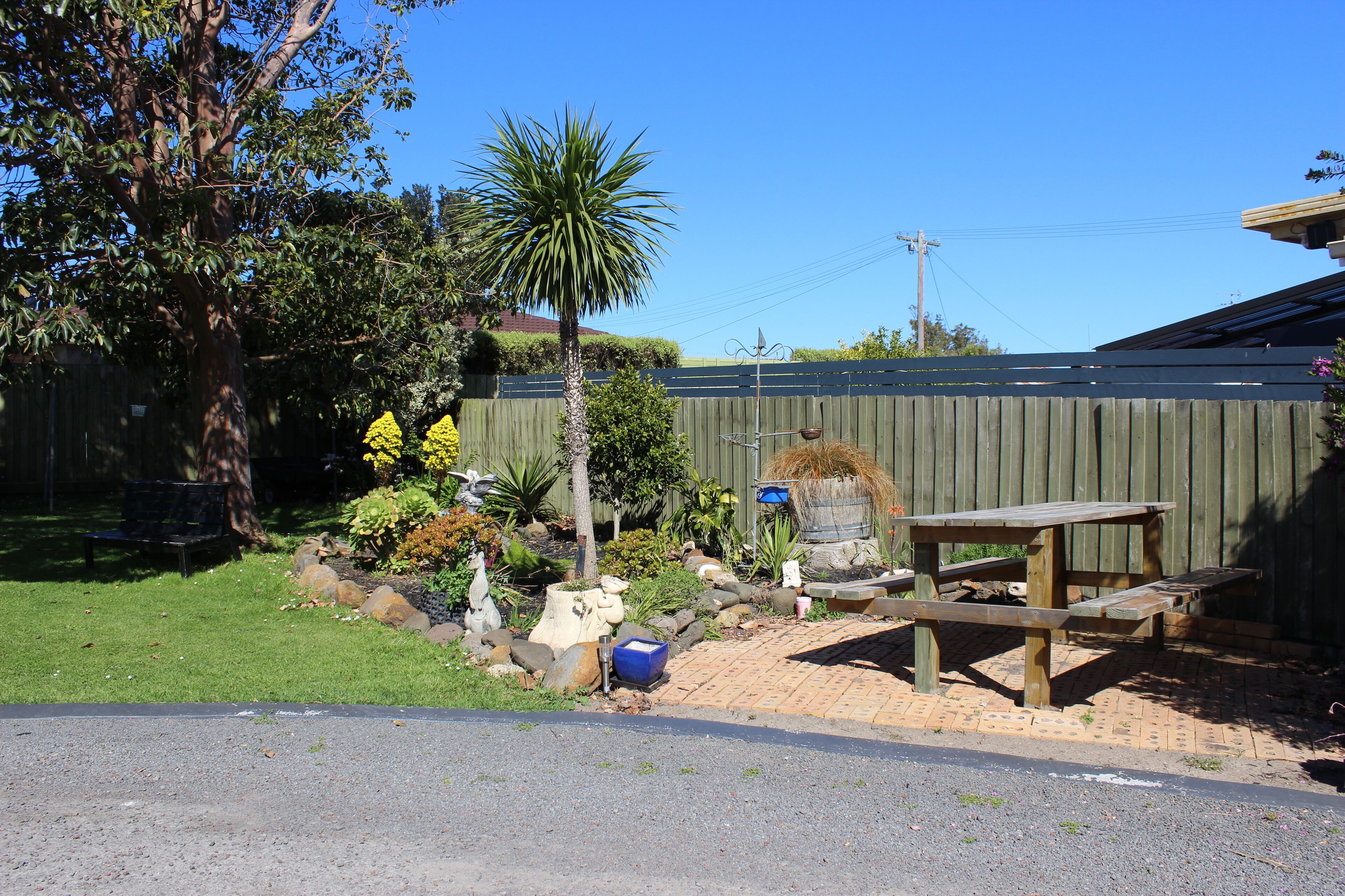 A backyard with a wooden table and benches, surrounded by a wooden fence, a palm tree, and various plants.