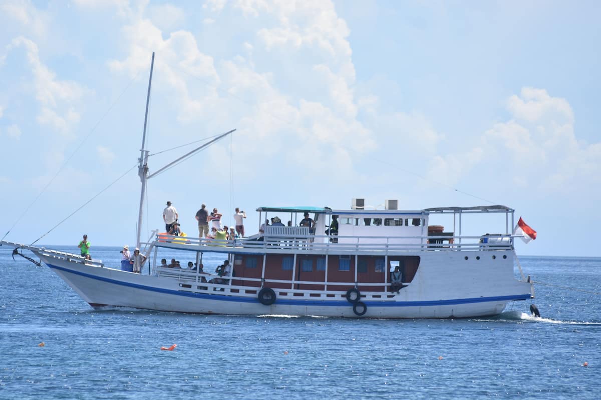A boat with passengers, a mast, and a flag.