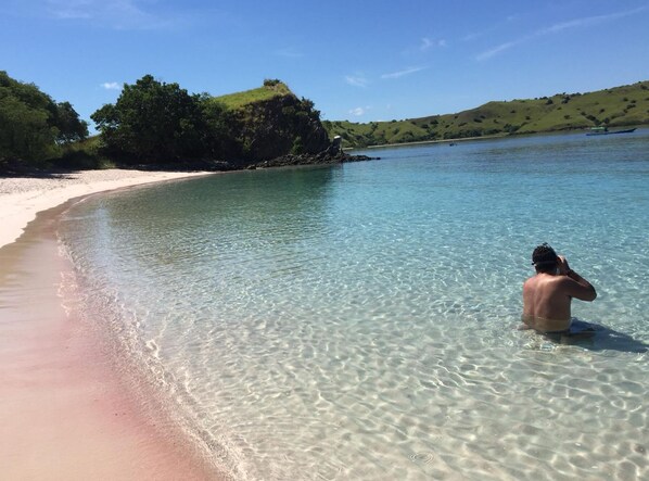 Vistas desde la habitación