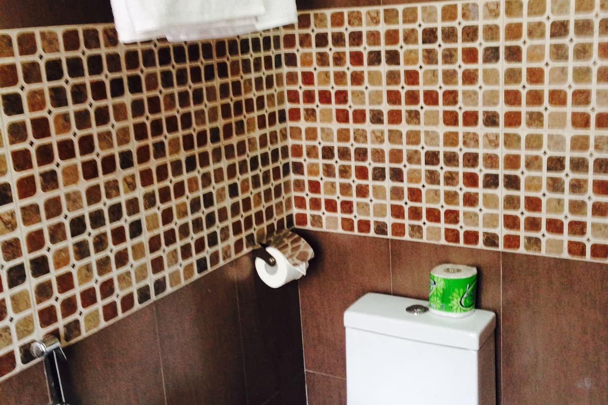 standard single room, city view | bathroom | shower, rainfall showerhead, free toiletries, hair dryer