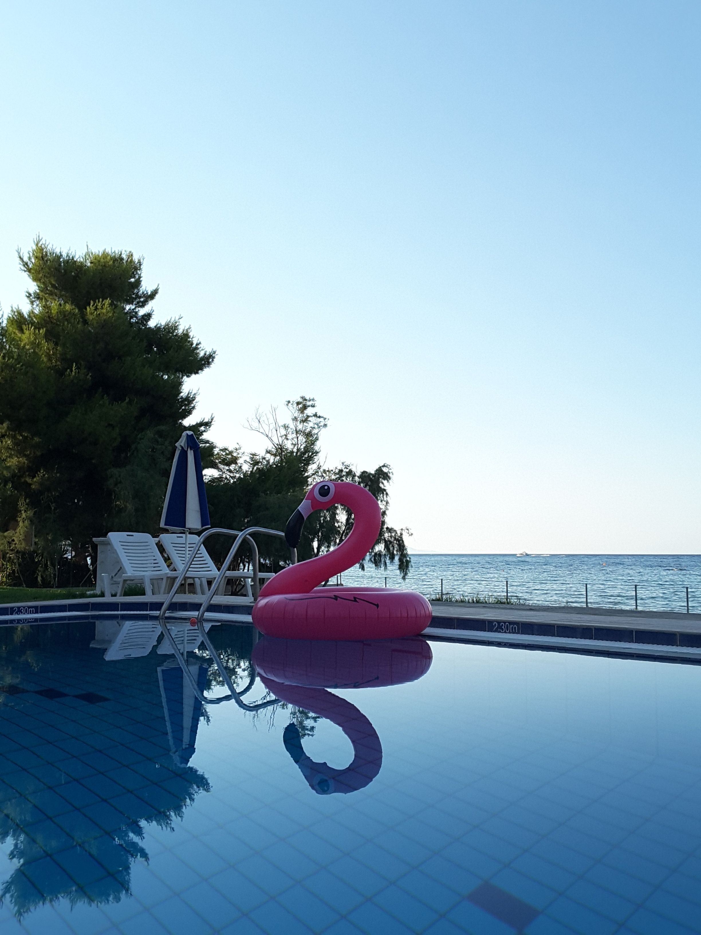 A swimming pool with a pink flamingo float, white lounge chairs, and a view of the sea.