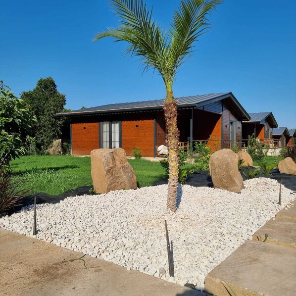 A modern house with a wooden exterior, a gravel driveway, and a palm tree in the front yard.