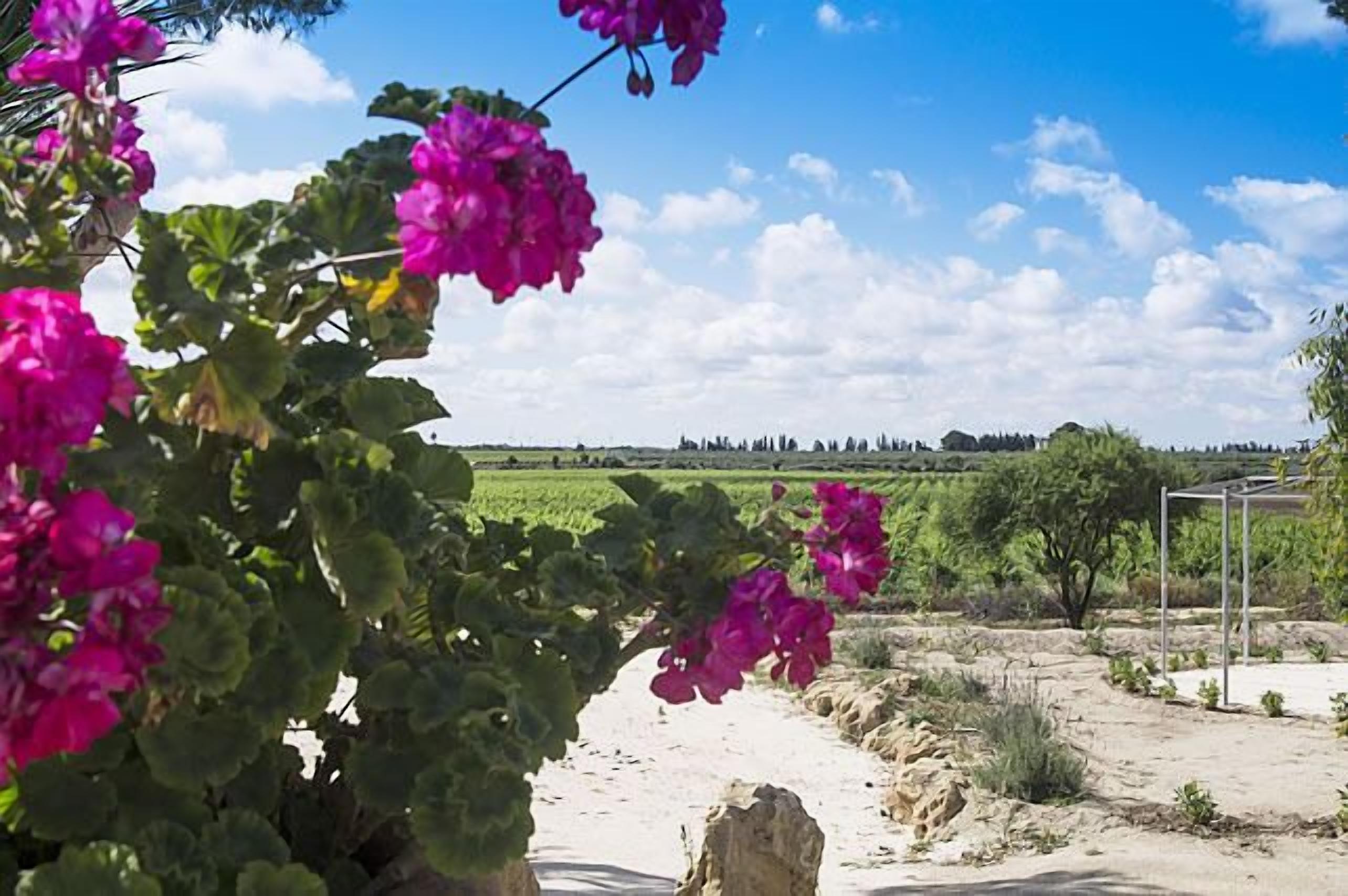 Photo - Residence Casale Verderame