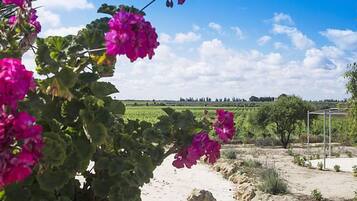 A garden with vibrant pink flowers and a clear view of a distant field and trees.