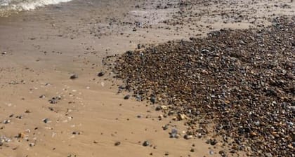 Twin Palms Guesthouse