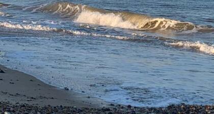 OYO Twins Palms Guest House