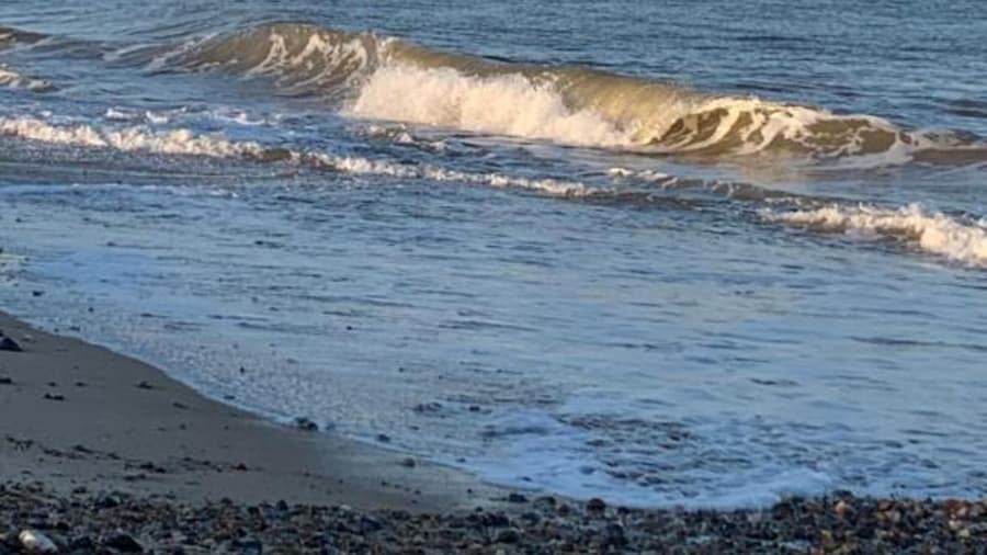 OYO Twins Palms Guest House