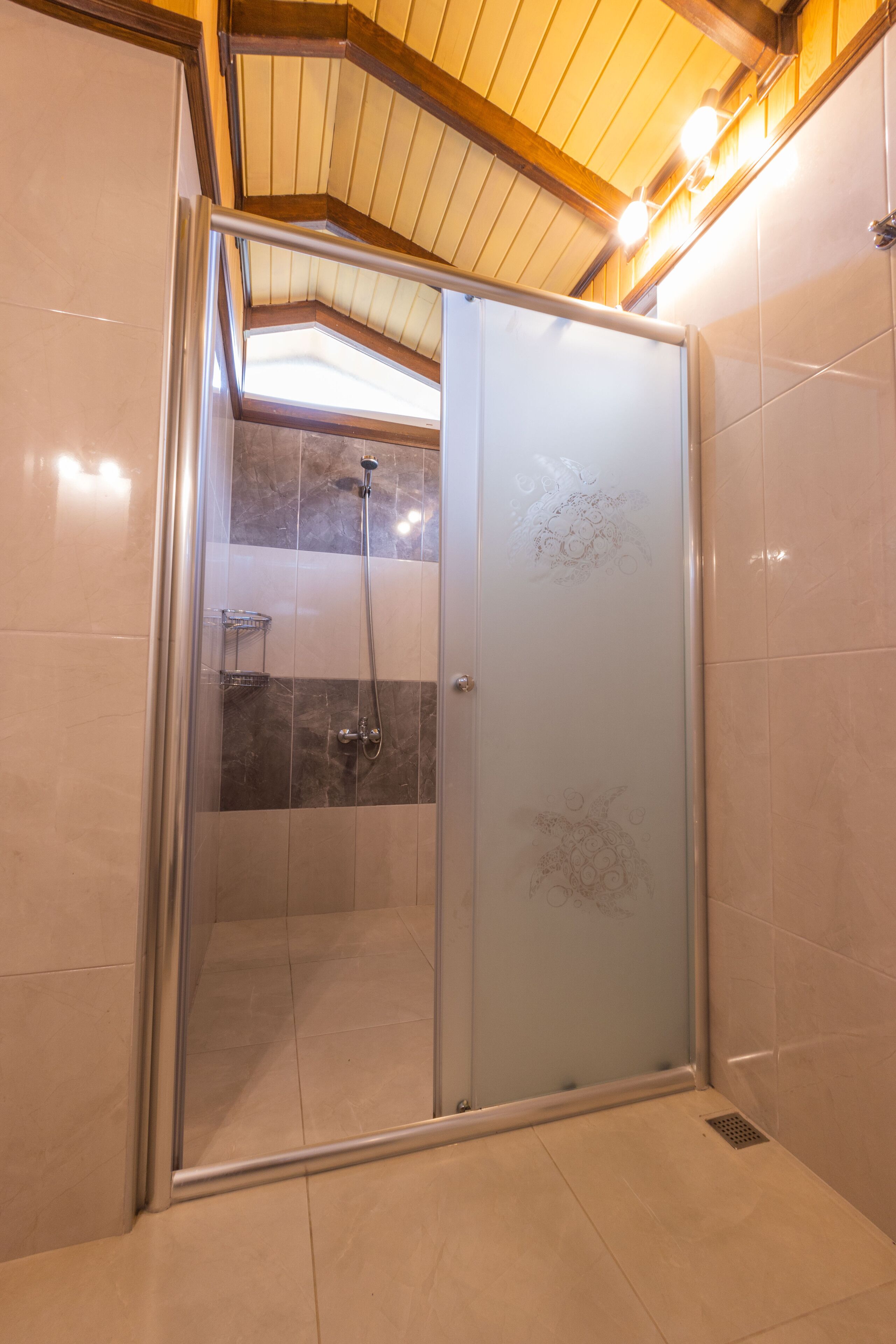 A glass-enclosed shower with a showerhead and handheld shower attachment.