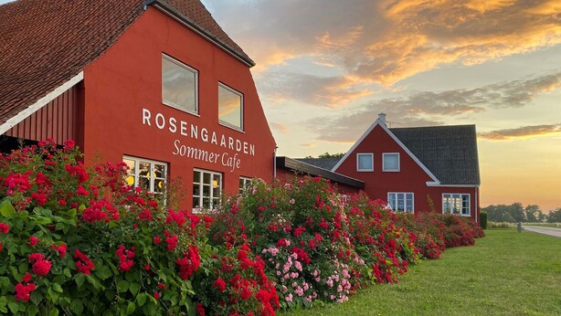 A red building with the name 'Rosengarden Sommer Cafe' and a smaller adjacent house. - Rosengaarden Hostel (Akirkeby)