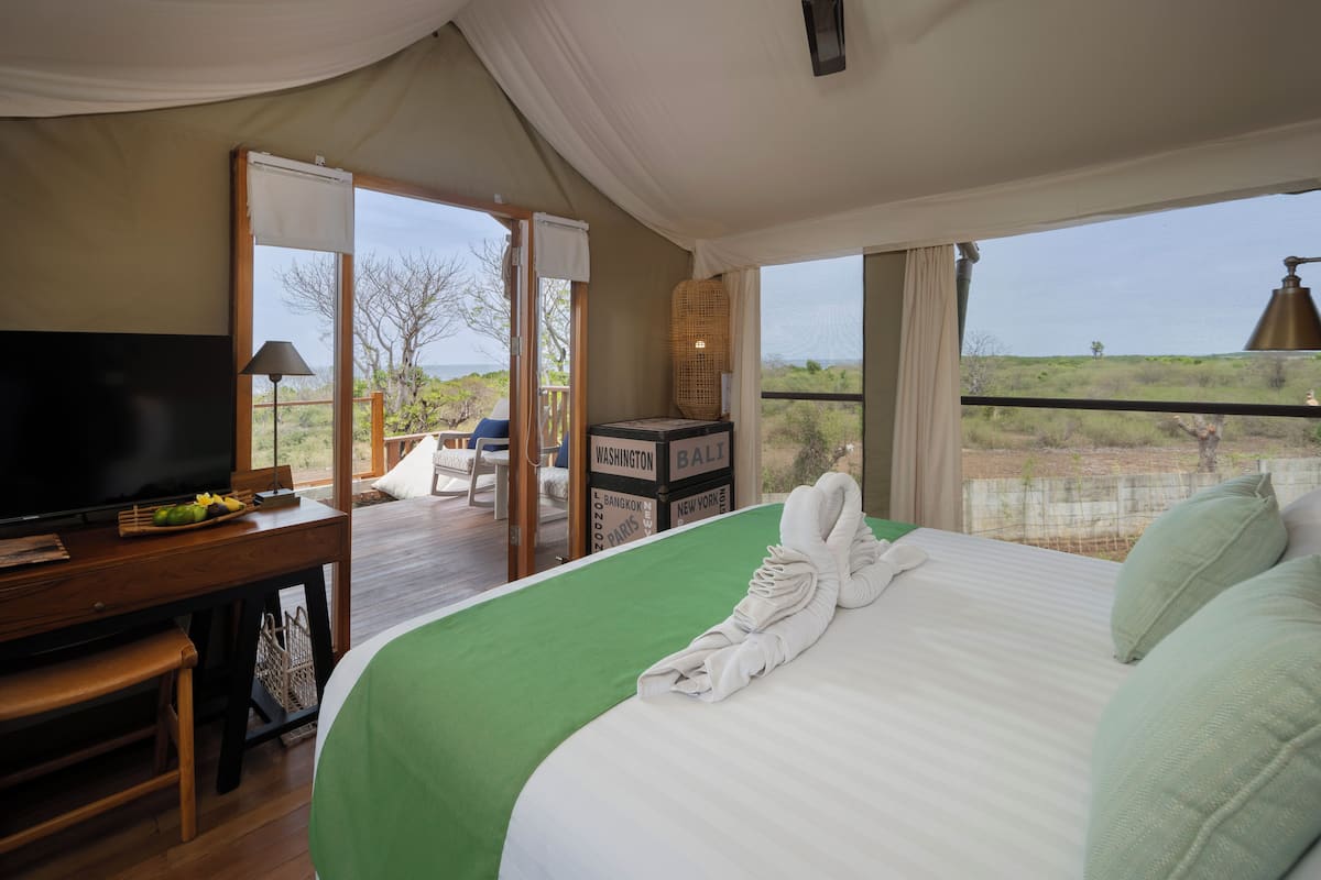 A hotel room with a bed, a desk with a television, a basket, and a view of the outdoors.