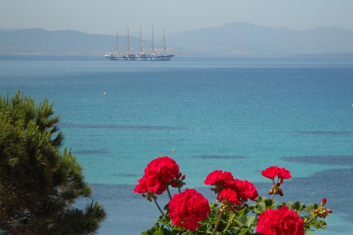 A ship on the sea with mountains in the background.