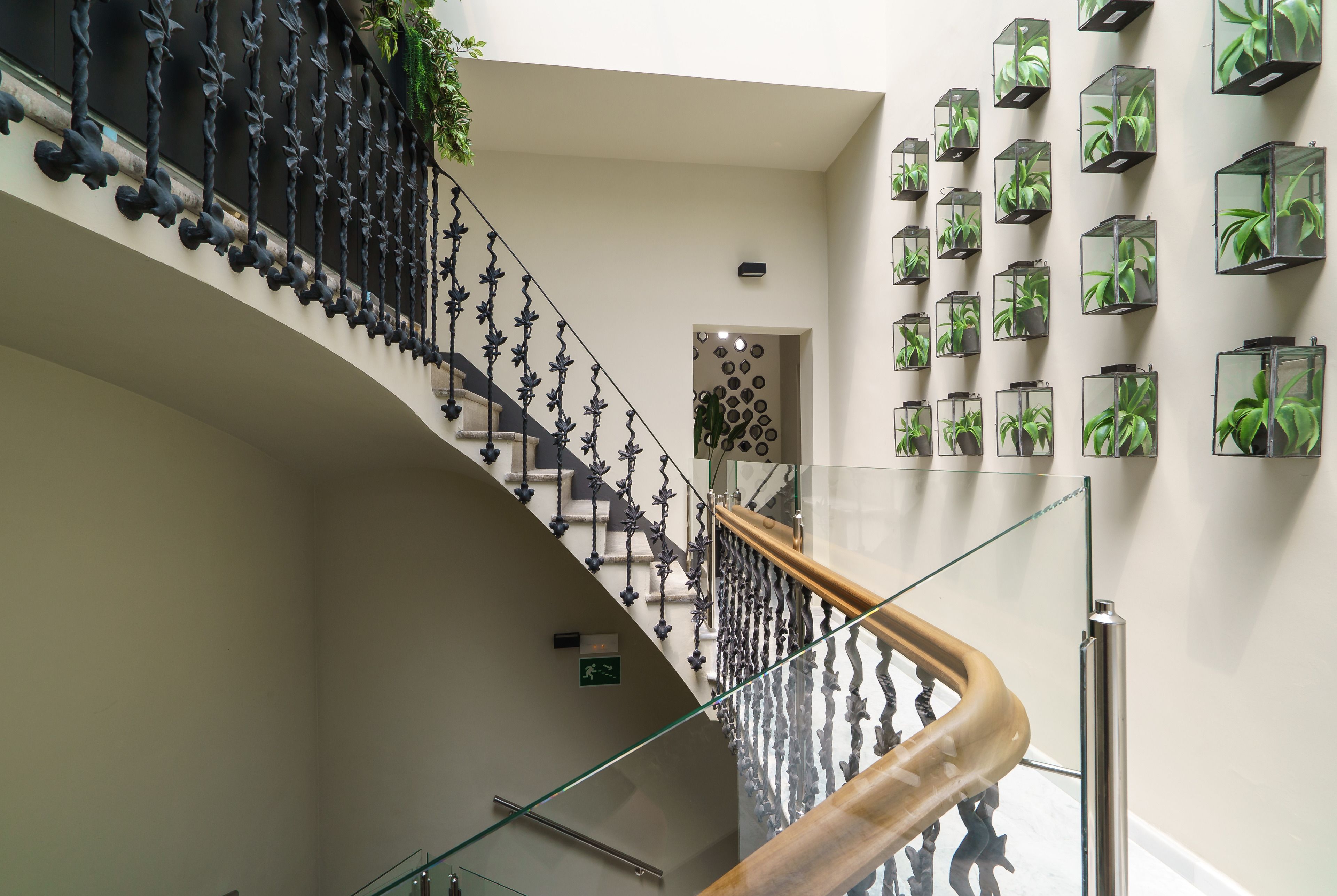 Foto - The Valentia Cabillers